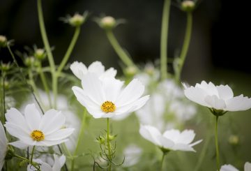 Majówka 2024 – z kim i gdzie pojedziemy?