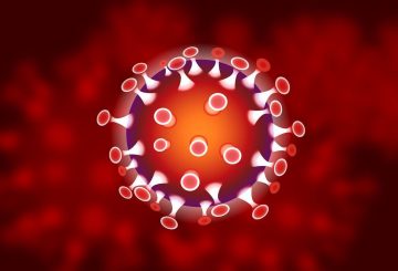 Ograniczenia w&nbsp;kursowaniu busów przynajmniej do&nbsp;Wielkanocy!